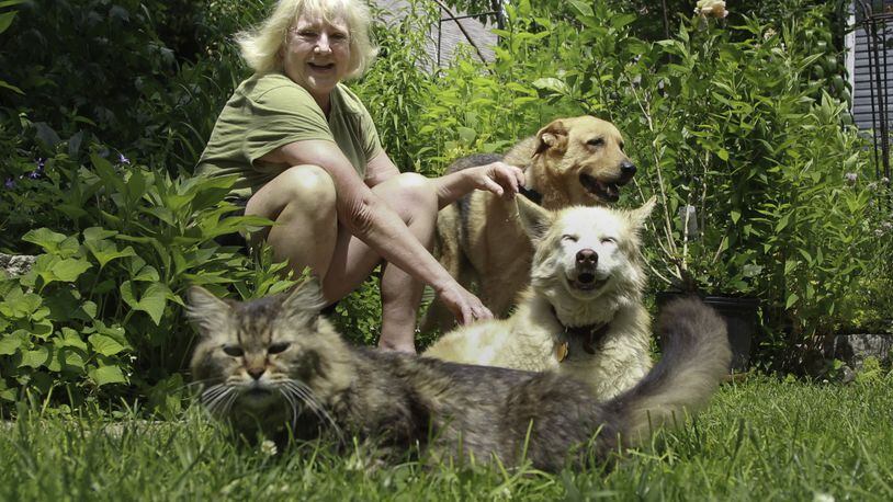 Kris Rankin of Dayton takes care of two dogs, four cats and fish in an outside pond. She’s pictured here with Stella (top) and Dinah, her shepherd mix dogs, and one of the cats, Simon. CHRIS STEWART / STAFF