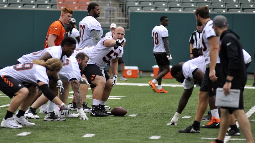 Cincinnati Bengals rookie center Billy Price makes a line call during Tuesday’s first day of mandatory minicamp at Paul Brown Stadium. JAY MORRISON/STAFF