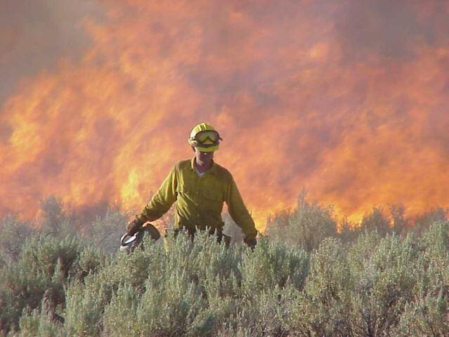$5.5 billion for the Forest Service, with added funds to fight wildfires.