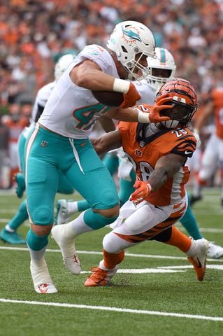 bengals dolphins gallery