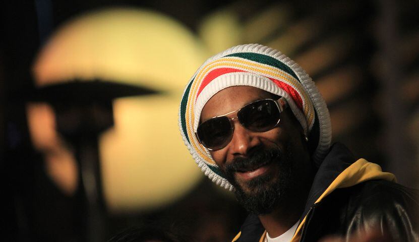 12. Snoop Lion, $10 million (tie)