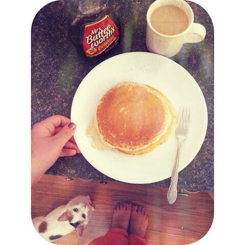 Fat Tuesday AND Pancake Day? Don't mind if I do #nationalpancakeday #fattuesday Photo posted by @riverofbones