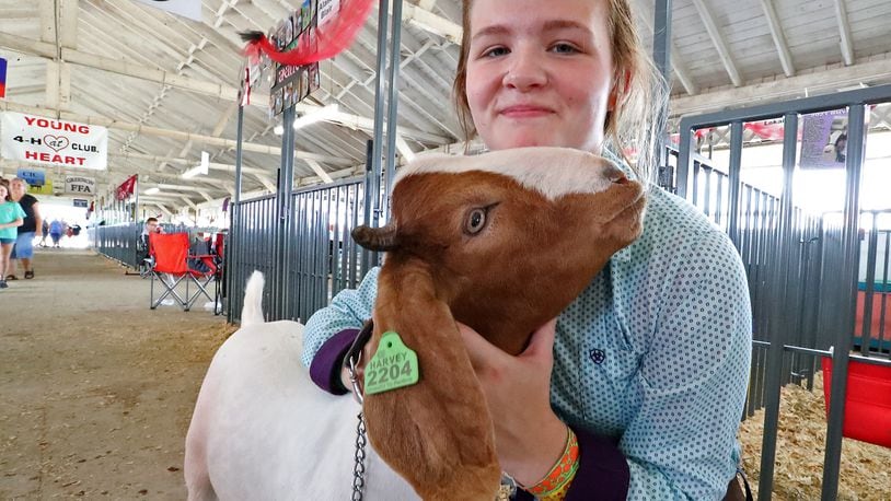Kenzie Leigh, 15, with one of her goats Thursday, July 29, 2022 in the Goat Barn at the Clark County Fair. BILL LACKEY/STAFF