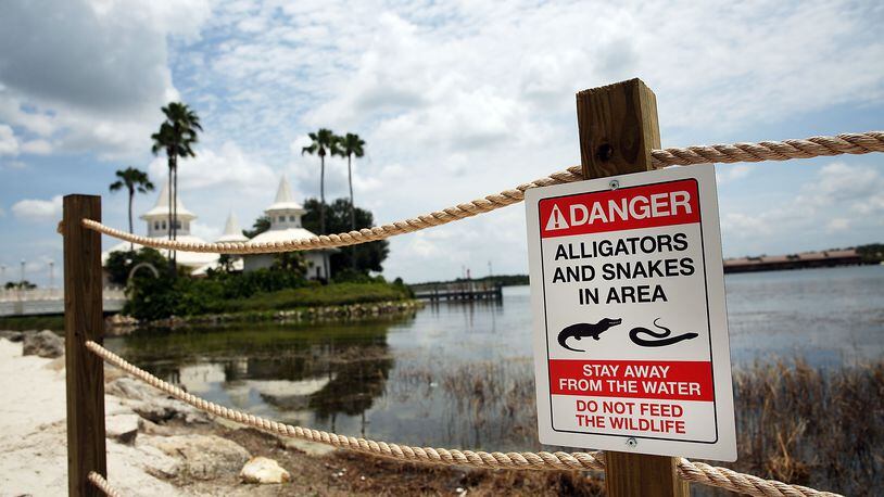 ORLANDO, FL: Newly installed signs warn of alligators and snakes on a closed section of beach following the death of a 2-year-old boy who was killed by an alligator near a Walt Disney World hotel in Orlando, Florida. Lane Graves, who was visiting Disney World with his family from Nebraska, died after he was pulled into the lagoon by an alligator. (Photo by Spencer Platt/Getty Images)