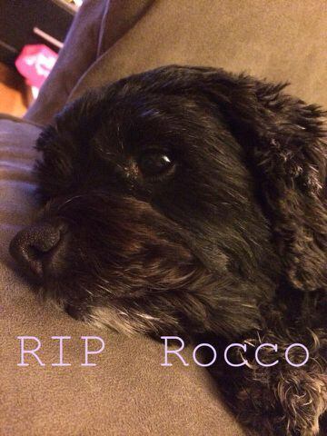 RIP Rocco