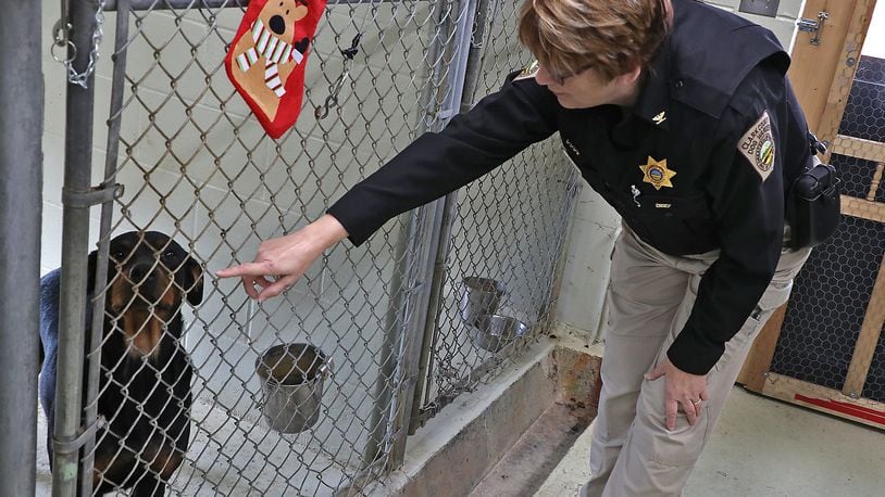 Clark County Dog Warden Sandi Click talks to one of the dogs up for adoption at the Clark County Dog Shelter Wednesday. BILL LACKEY/STAFF