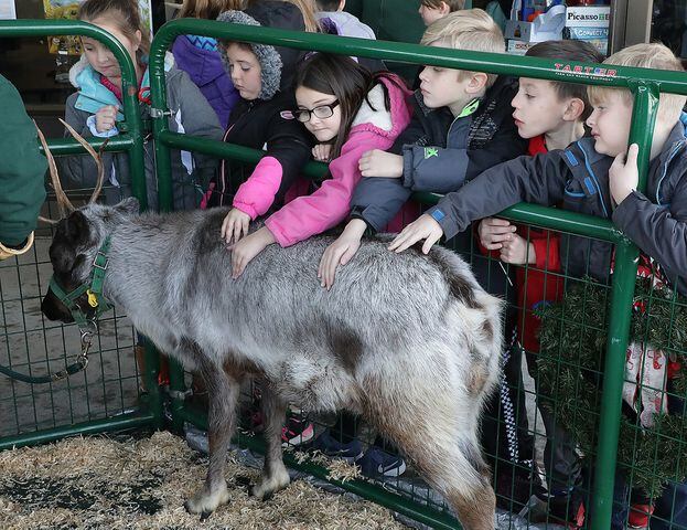 PHOTOS: Reindeers Visit South Vienna School