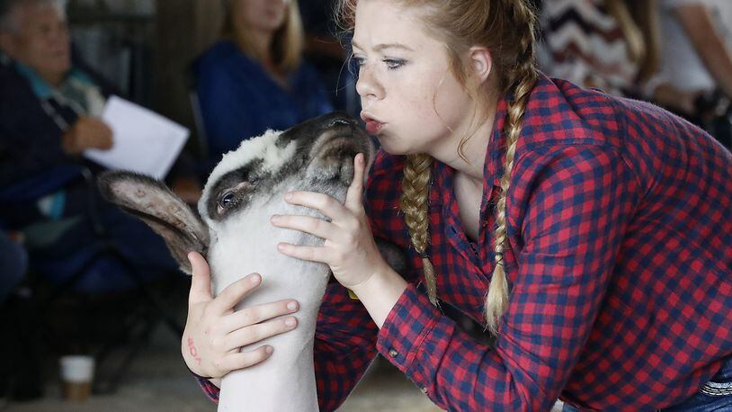 Taylor Ruff gives her sheep a smooch as she shows the animal at the Champaign County Fair Monday. Bill Lackey/Staff