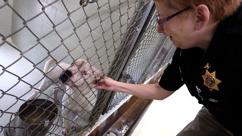 Clark County Dog Warden Sandi Click gives some attention to a pooch waiting for a home at the Clark County Dog Shelter Thursday, July 5, 2018. BILL LACKEY/STAFF