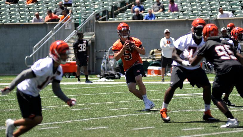 Cincinnati Bengals rookie quarterback Logan Woodside drops back to pass during the final day of minicamp Thursday, June 14, at Paul Brown Stadium. JAY MORRISON/STAFF