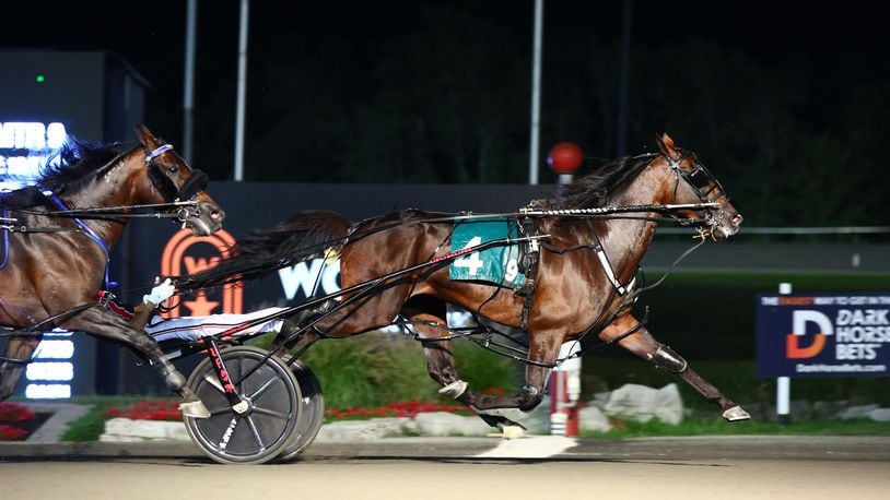 Bulldog Hanover (4), the top-ranked harness horse in North America, will run in the Dayton Pacing Derby on Saturday at Hollywood Dayton Raceway. Clive Cohen/New Image Media