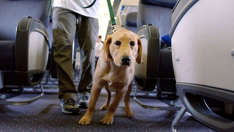 Dallas-based Southwest announced that starting Sept. 17 it will limit emotional support animals to one dog or cat per customer. (Photo by Stephen Chernin/Getty Images)