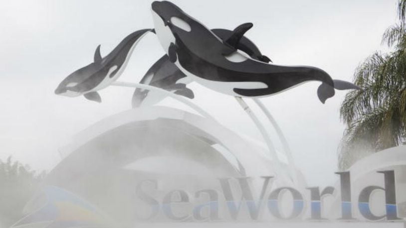 Sign for SeaWorld in Orlando, Florida. File photo. (Photo: Matt Stroshane/Getty Images)