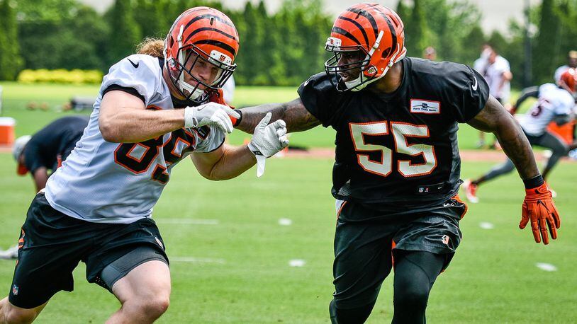 Bengals’ H-back Ryan Hewitt is defended by linebacker Vontaze Burfict (55) during organized team activities Tuesday, May 22 at the practice facility near Paul Brown Stadium in Cincinnati. NICK GRAHAM/STAFF