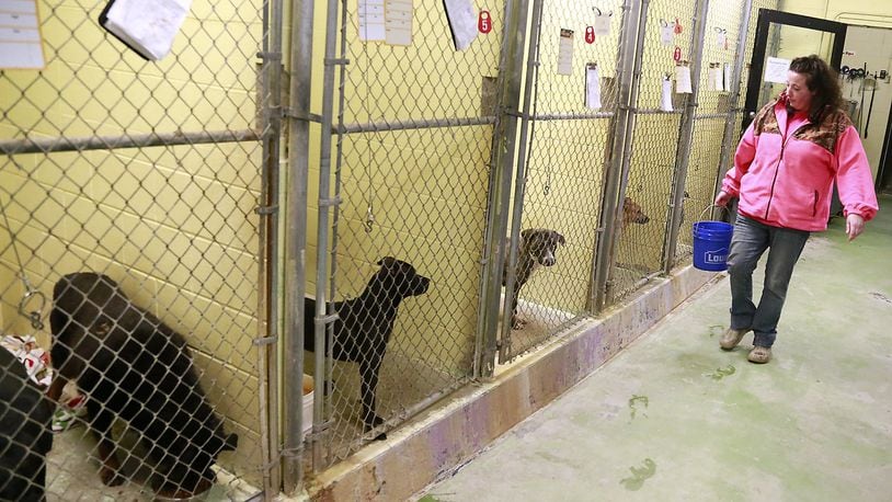 Erica Blethen feeds and waters the dogs in the kennels at the Humane Society of Clark County. Bill Lackey/Staff