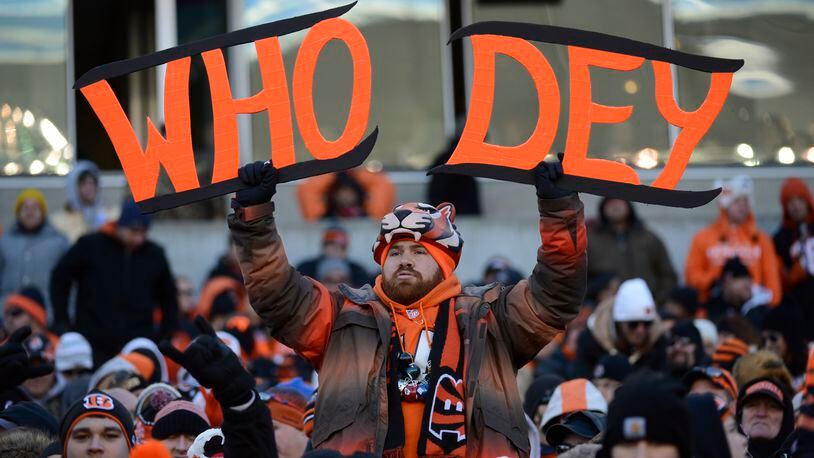 A Cincinnati Bengals fan cheers in the second half of an NFL football game against the Baltimore Ravens, Sunday, Dec. 30, 2012, in Cincinnati. (AP Photo/Michael Keating)