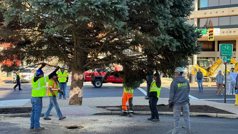 The annual Holiday in the City tree arrived in downtown Springfield on Friday, November 10, 2023. The tree was donated by Rick and Beth Stumpf. The events begin the weekend after Thanksgiving and run six weeks. BEN MCLAUGHLIN/STAFF
