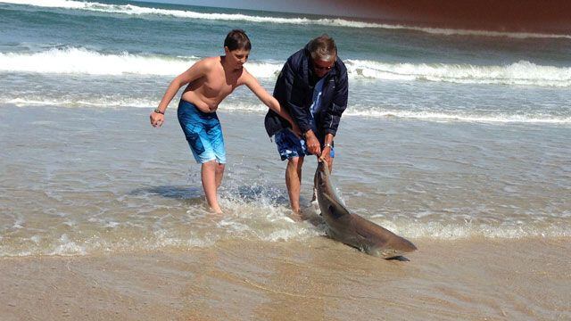 Fisherman catches shark off New Smyrna Beach