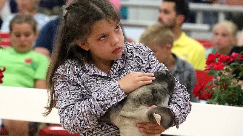 Taylor Workman, 9, pets her sheep as she holds it during the Auction of Champions Friday at the Clark County Fair. BILL LACKEY/STAFF