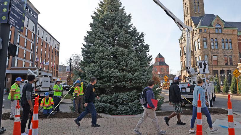A crew from the City of Springfield works to set the annual Holiday Tree into place Friday, Nov. 4, 2022 on the downtown esplanade. This year's tree was donated by Steve Hamilton on Reno Road. The tree will be decorated with thousands of LED lights and officially illuminated with the rest of downtown during the Holiday in the City celebration on Nov. 25. BILL LACKEY/STAFF