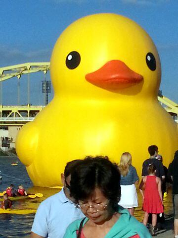 Giant "Rubber Duckie" in Pittsburgh