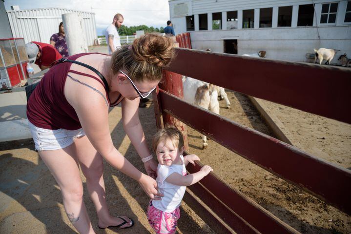 PHOTOS: Did we spot you having extra fun at Young’s Dairy this weekend?