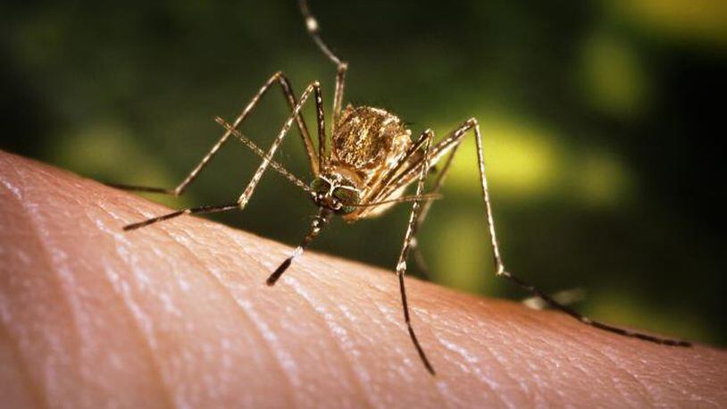 More mosquitoes test postive for West Nile virus in Clark County. Contributed.