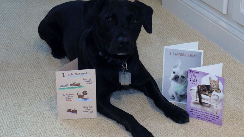 Teddy with Mother’s Day cards from years past. Abby, the cat, was unwilling to have her photo taken. KARIN SPICER/CONTRIBUTED