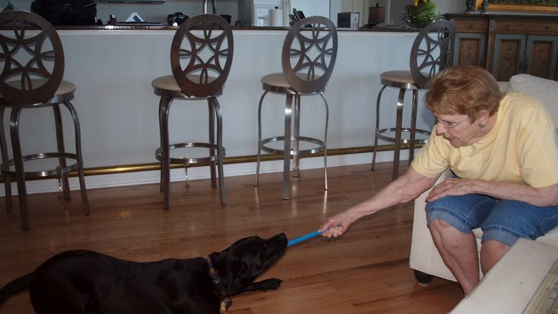 Teddy and his “grandmom” playing “fetch-shake-tug-chew.” KARIN SPICER/CONTRIBUTED