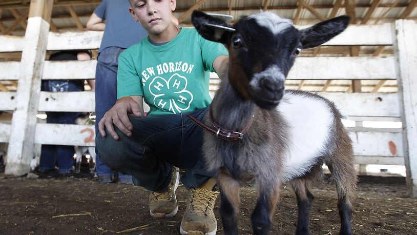 Will Stott, 12, pets his pygmy goat after showing the tiny animal Monday at the Clark County Fair. Bill Lackey/Staff