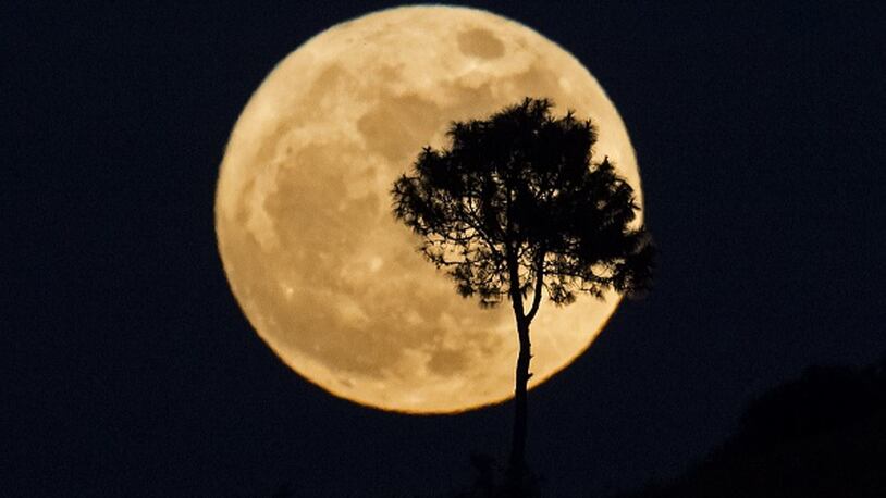 TOPSHOT - A tree is silhouetted as a "supermoon" rises over Heho, Myanmar's Shan state, on November 14, 2016. Skygazers headed to high-rise buildings, ancient forts and beaches on November 14 to witness the closest "supermoon" to Earth in almost seven decades, hoping for dramatic photos and spectacular surf. The moon will be the closest to Earth since 1948 at a distance of 356,509 kilometres (221,524 miles), creating what NASA described as "an extra-supermoon". / AFP / YE AUNG THU        (Photo credit should read YE AUNG THU/AFP/Getty Images)