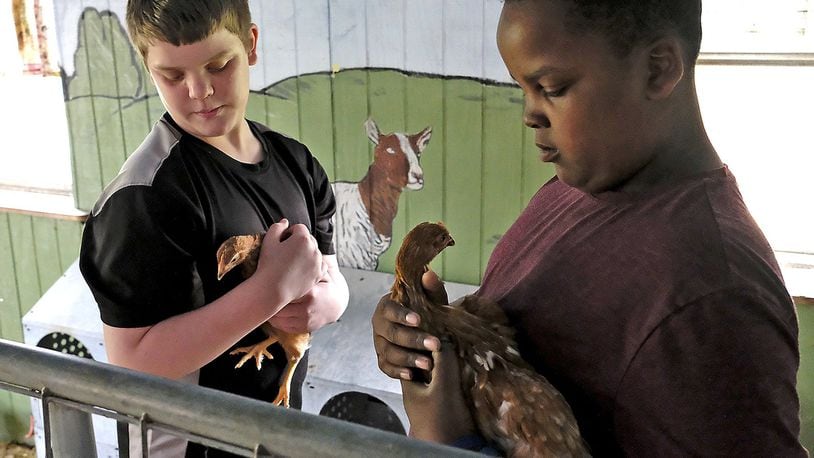 Ethan Brooks, left and Iverson May take care of some young chickens at On the Rise farm Thursday. The farm, which gives at-rinsk young people a chance to learn and grow as they work on a farm, recently received a $7,000 grant from the Community Health Foundation for the 2017-18 grant cycle. The Community Health Foundation is giving out more than $180,000 in grant money this year, tripling the amount it gave out four years ago. Bill Lackey/Staff
