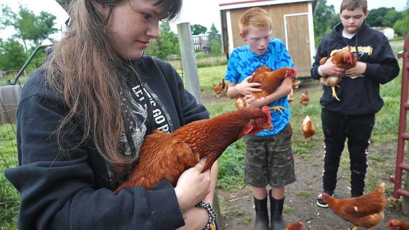 Savannah Vodnar holds one of the chickens that she and the other participants in the On-The-Rise program are raising on the organization's North Hampton farm Thursday, May 26, 2022. In the background are fellow participants Shane Baker, left, and Breydan Coberly. On-The-Rise is celebrating 20 years of helping at-risk kids in the Clark County area by giving them purpose and life skills to succeed. BILL LACKEY/STAFF