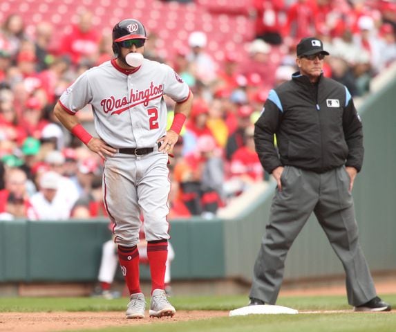 Photos: Reds vs. Nationals (March 31)