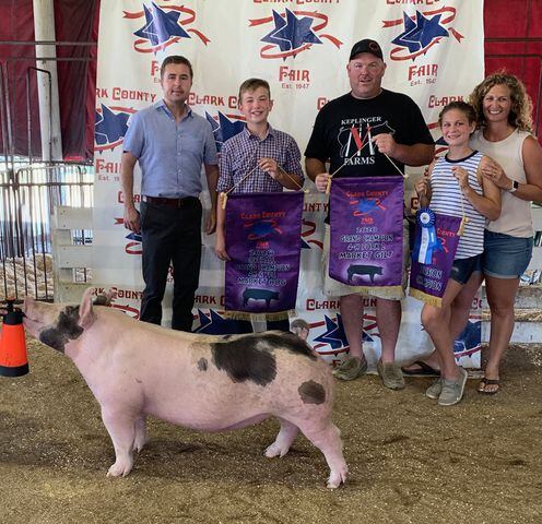 2020 Clark County Fair grand champion hog