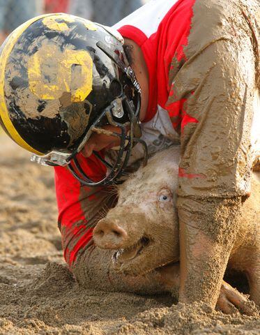 Clark County Fair - Pig Scramble