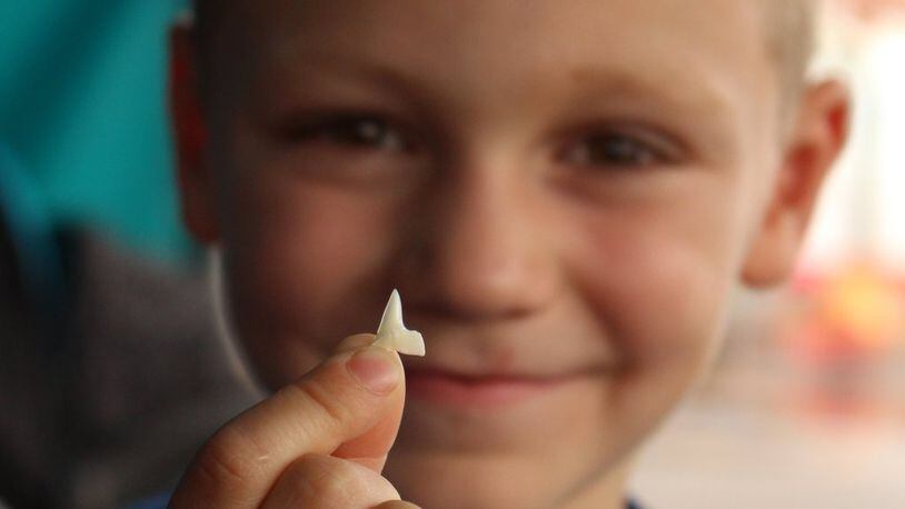 Aiden Dexter proudly displays the shark tooth he got for assisting Philip Peters.