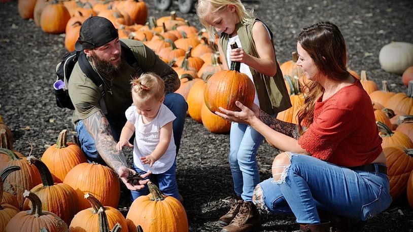 The Bair family of South Vienna, from left, Lee, Annie Mae, 14 months, Ava, 7, and Laura shop for pumpkins at Young’s Jersey Dairy on Oct. 13. MARSHALL GORBY / STAFF