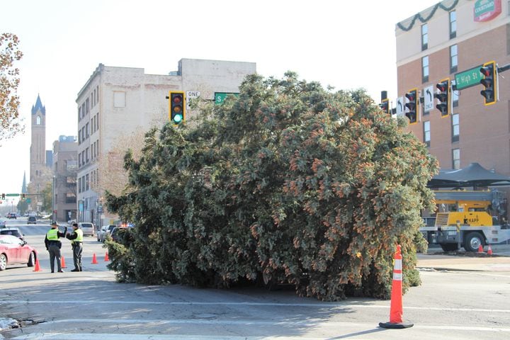 PHOTOS: Springfield Gets Holiday Tree