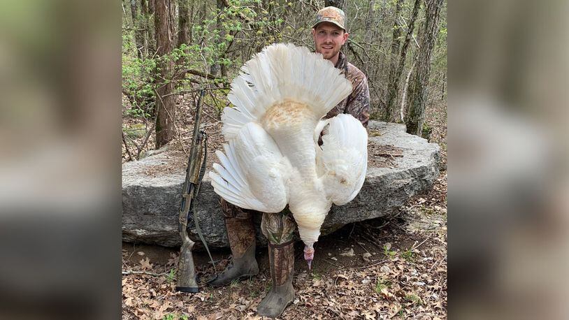 Cameron Bond, of Warren County, shot the 20-pound bird with all-white feathers. (Photo: Tennessee Wildlife Resource Agency)