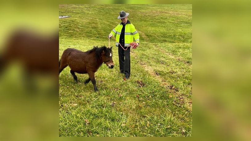 A trooper with the Springfield Post of the Ohio State Highway Patrol caught a miniature horse on Tuesday. Contributed/OSHP Facebook