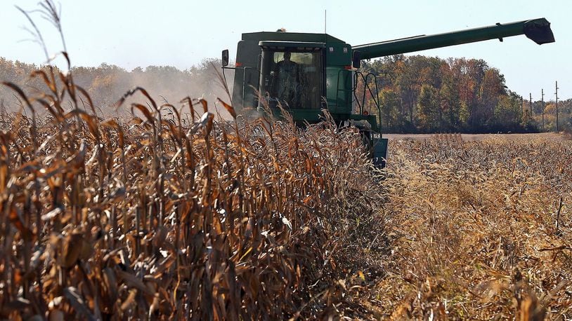 Bob Suver harvests his corn crop Wednesday along Detrick-Jordan Pike near New Carlisle. Even during a growing season when 1.5 million fewer acres of soybeans and corn were planted in Ohio, average farm incomes in the state are likely to increase compared to last year, according to an agricultural economist with The Ohio State University. BILL LACKEY/STAFF