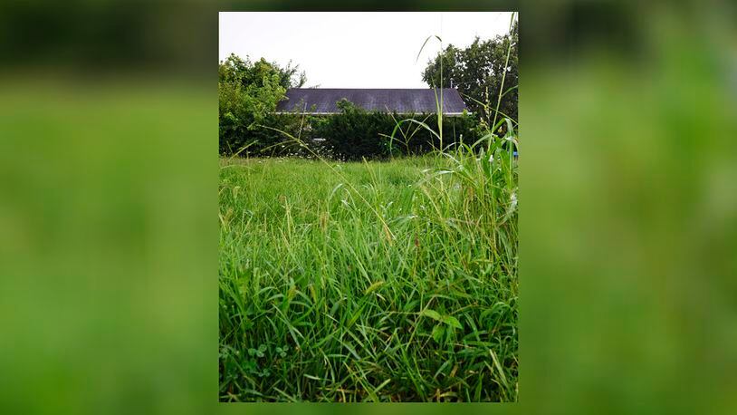 Xenia is considering a change in property codes that would eliminate multiple notifications to property owners for tall grass. NICK GRAHAM/STAFF