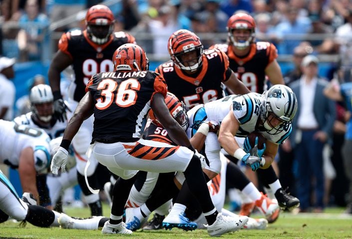 PHOTOS: Cincinnati Bengals vs. Carolina Panthers