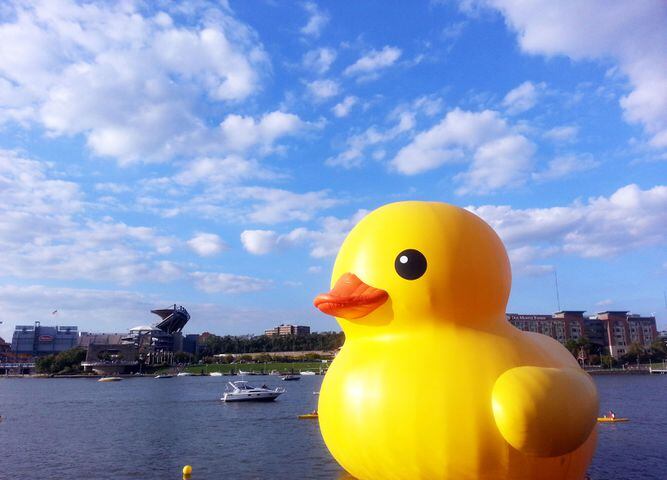 Giant "Rubber Duckie" in Pittsburgh