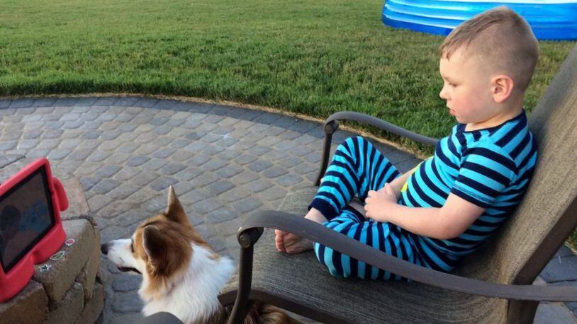 Gavin and Roller, a corgi, watch a video. Gavin and his dog live in Bellbrook. MARISSA SCHNEIDER/CONTRIBUTED