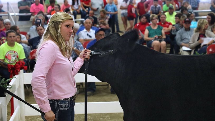Mackenzie Grimm, 16, holds her Grand Champion Steer as she listens to the auctioneer during the Auction of Champions at the 2018 Clark County Fair. BILL LACKEY/STAFF