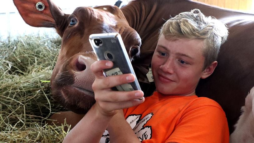 Hayden King, 14, and his dairy cow play games on his cell phone to pass the time Friday, August 3, 2018 in one of the barns at the Champaign County Fair. The fair officially opened Friday and runs through August 10. BILL LACKEY/STAFF