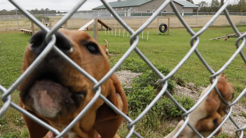The David Robert Wetzell Memorial Clinic at the Champaign County Animal Welfare League (AWL), which is visible in the background of the file photo, is now closed to the public because of staffing issues. FILE