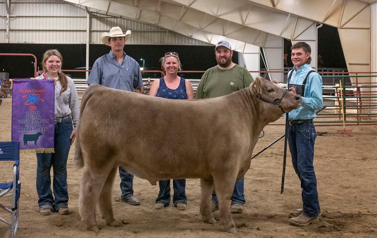 Clark County Fair grand champion steer 2020
